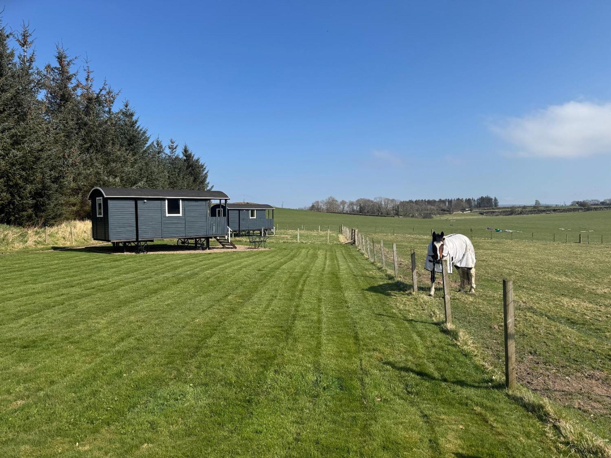 Roslin Glamping Hotel Bagian luar foto